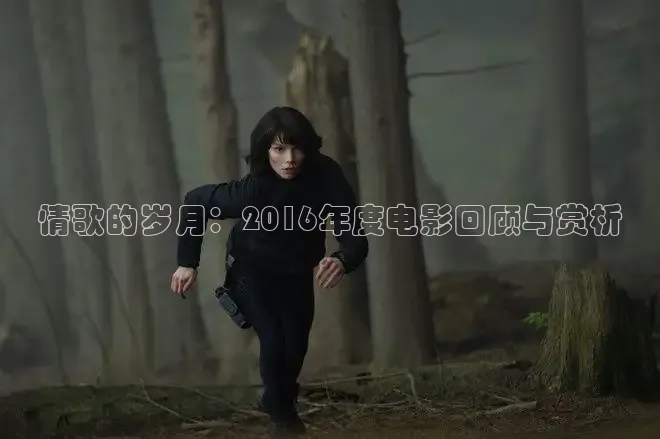51软件